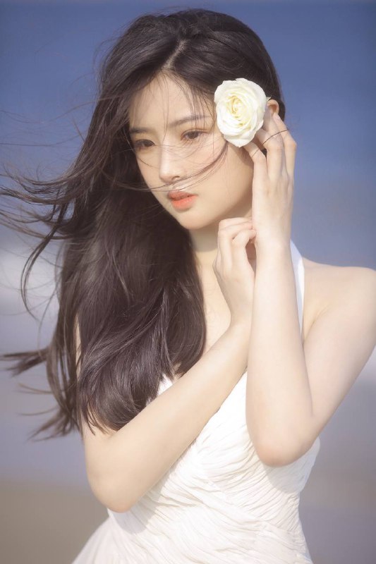 “风之白玫瑰”