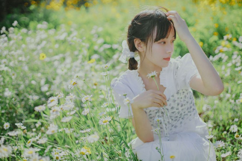 “初夏の小雏菊”