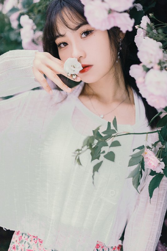 “听我说谢谢你 因为有你 温暖了四季玫瑰🌹”#少女 #小清新 #花 #日系“听我说谢谢你 因为有你 温暖了四季玫瑰🌹”#少女 #小清新 #花 #日系