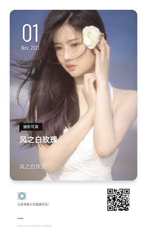 “风之白玫瑰”