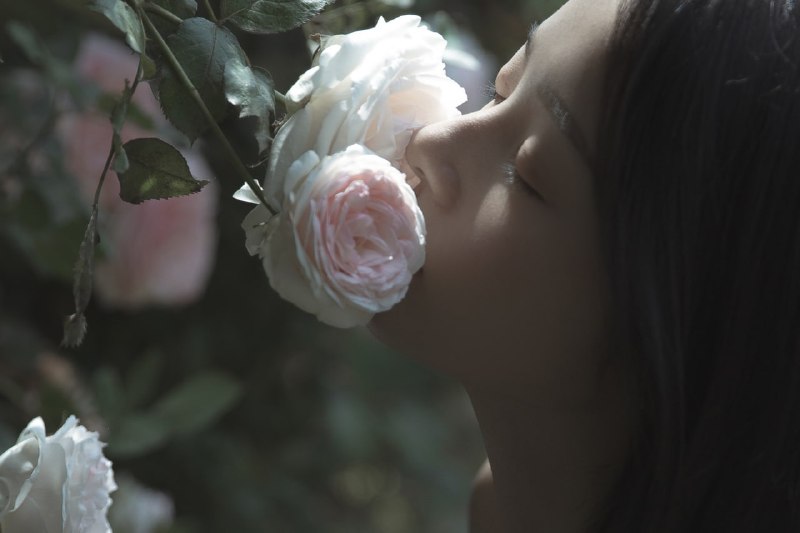 #小姐姐 #蔷薇 #少女 #情绪#小姐姐 #蔷薇 #少女 #情绪