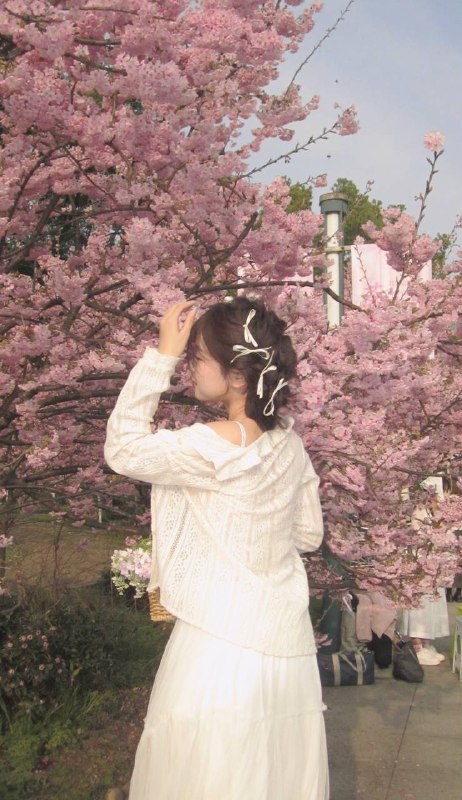 #少女 #樱花