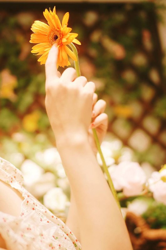 #小清新#小清新