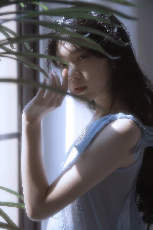 “月光爱人”“月光爱人”