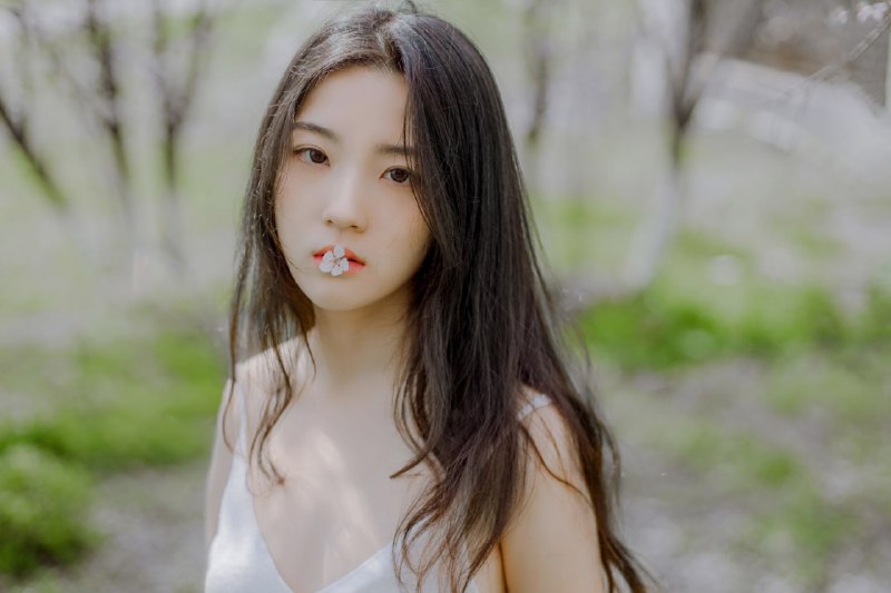 “春が来る”“春が来る”