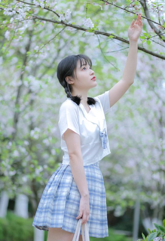 “又到樱花季～”“又到樱花季～”