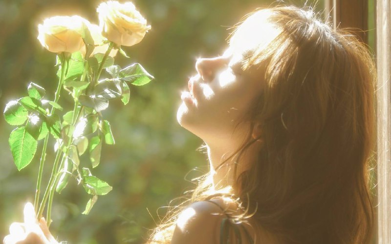 “在岛上吹吹hun ​​”