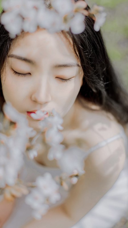 “春が来る”“春が来る”