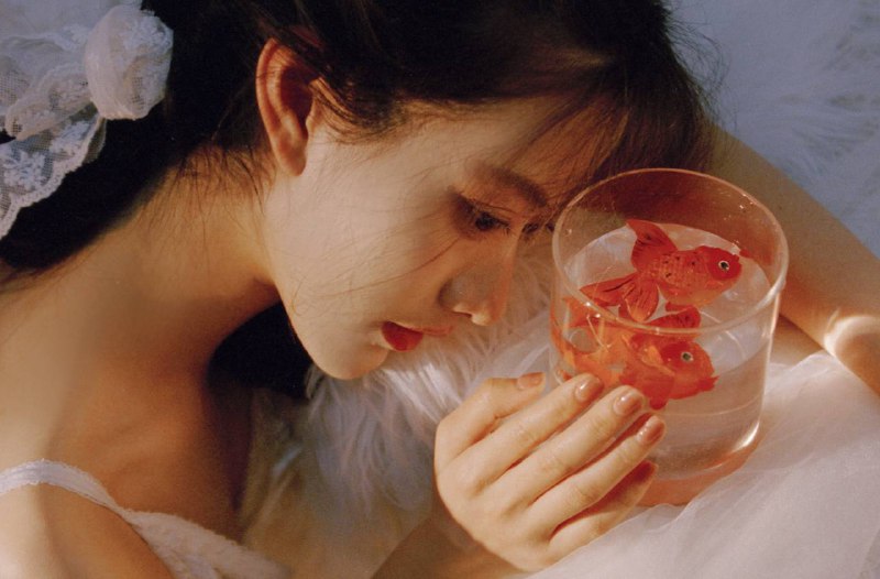 “我的鱼”“我的鱼”