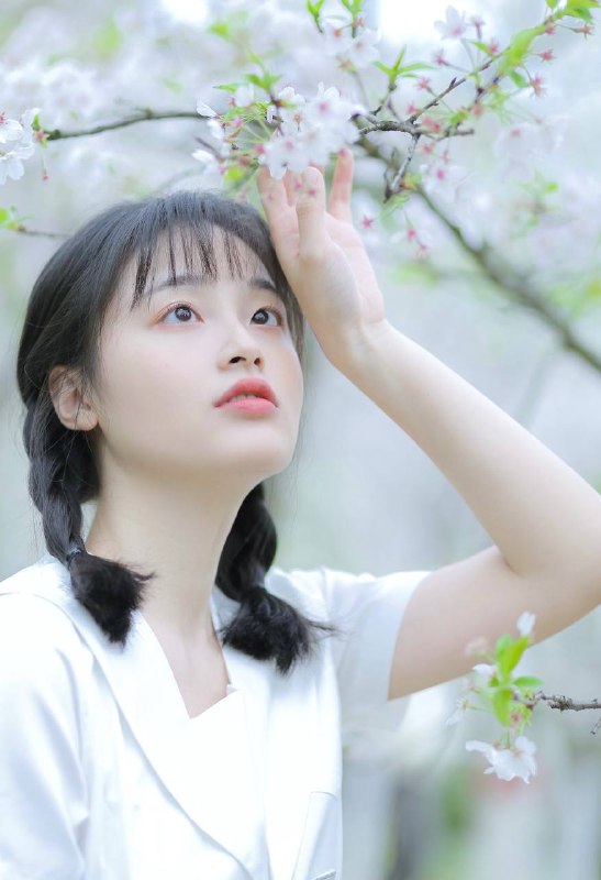 “又到樱花季～”“又到樱花季～”