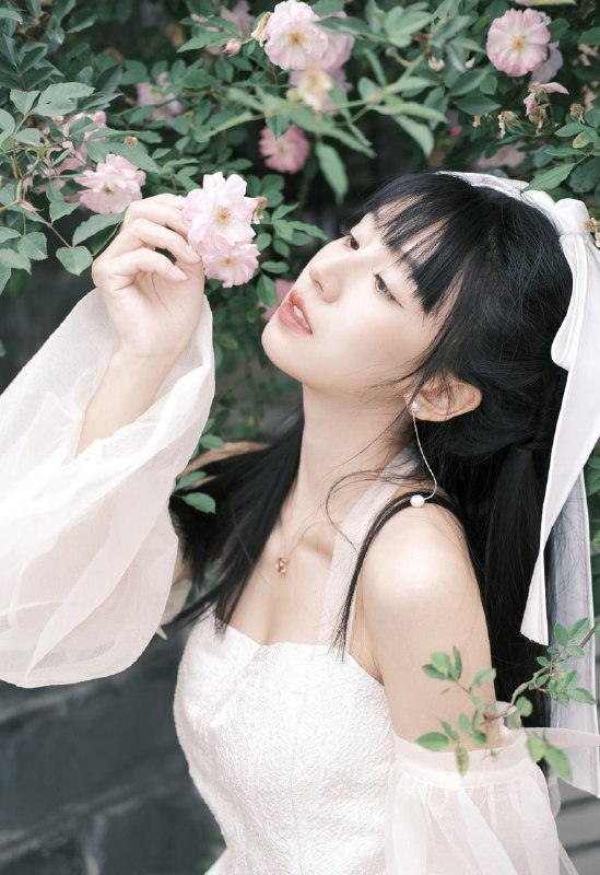 “会开花的树.”#蔷薇 #花嫁 #白色 #小清新“会开花的树.”#蔷薇 #花嫁 #白色 #小清新