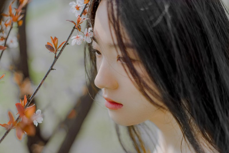 “春が来る”“春が来る”