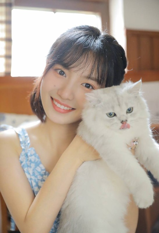 “青桔”“青桔”