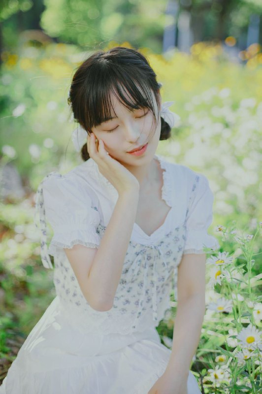 “初夏の小雏菊”