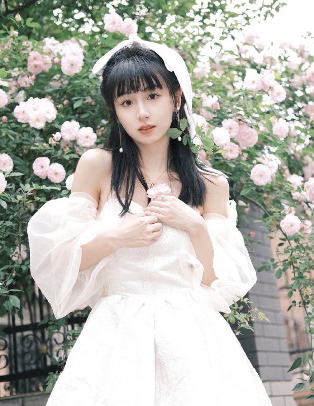 #蔷薇 #花嫁 #白色 #小清新#蔷薇 #花嫁 #白色 #小清新