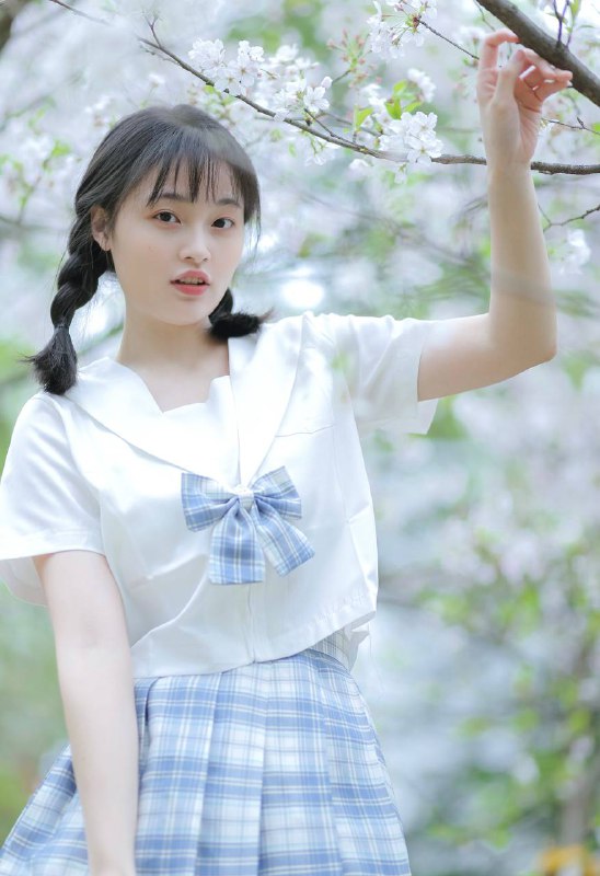 “又到樱花季～”“又到樱花季～”