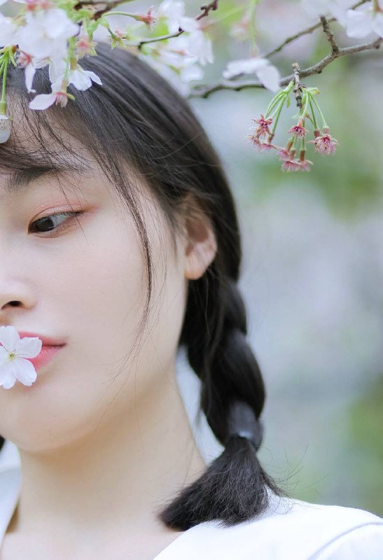 “又到樱花季～”“又到樱花季～”