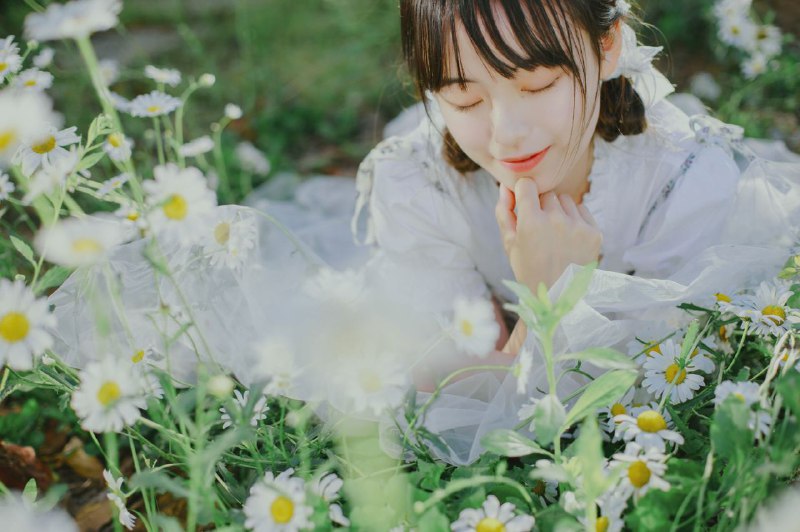 “初夏の小雏菊”