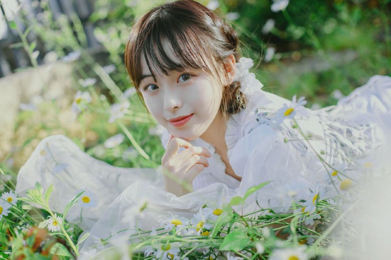 “初夏の小雏菊”