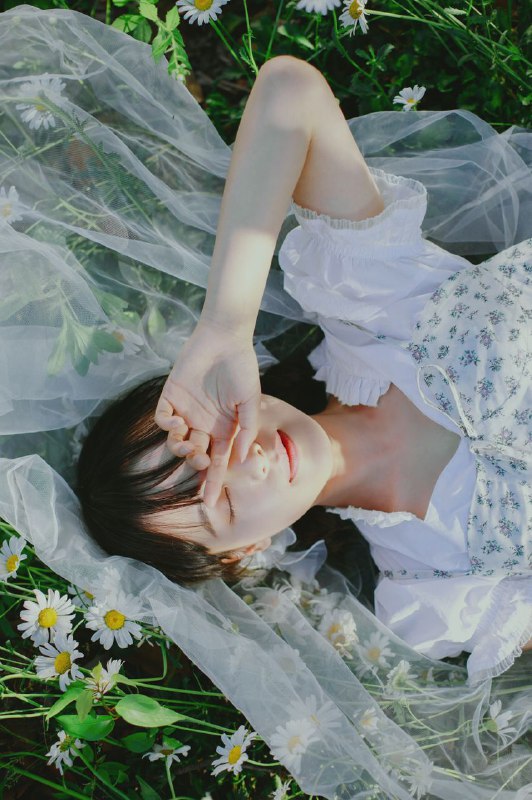 “初夏の小雏菊”