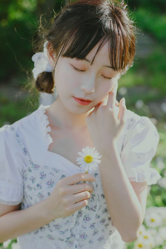 “初夏の小雏菊”