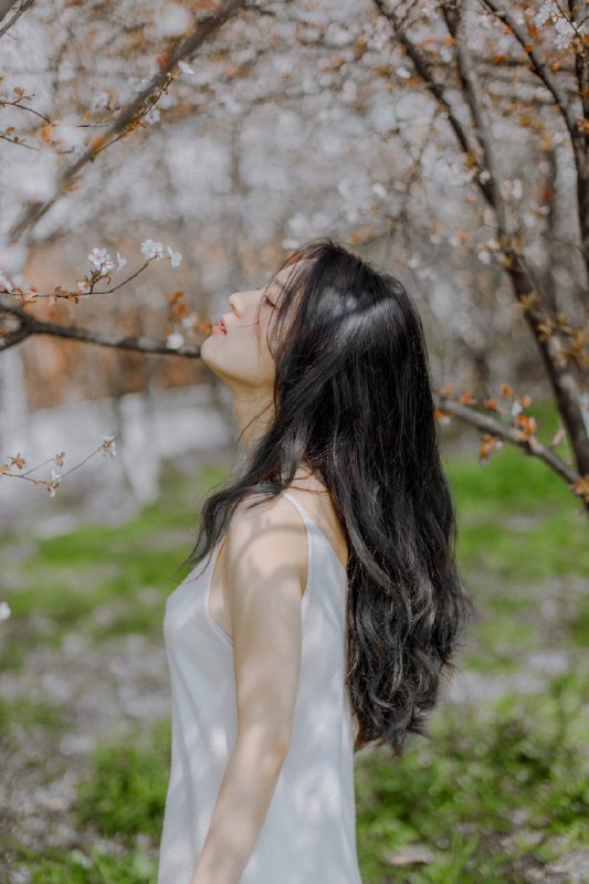 “春が来る”“春が来る”