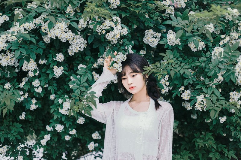 “听我说谢谢你 因为有你 温暖了四季玫瑰🌹”#少女 #小清新 #花 #日系“听我说谢谢你 因为有你 温暖了四季玫瑰🌹”#少女 #小清新 #花 #日系