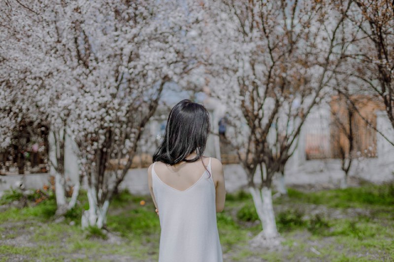 “春が来る”“春が来る”