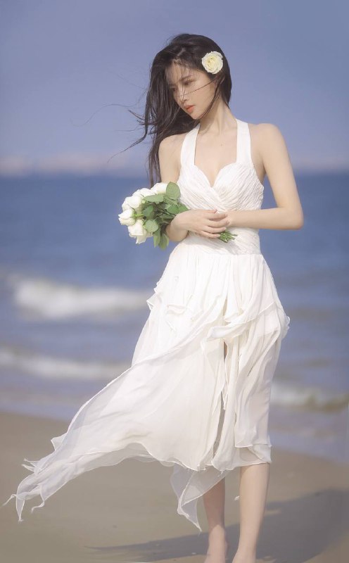 “风之白玫瑰”