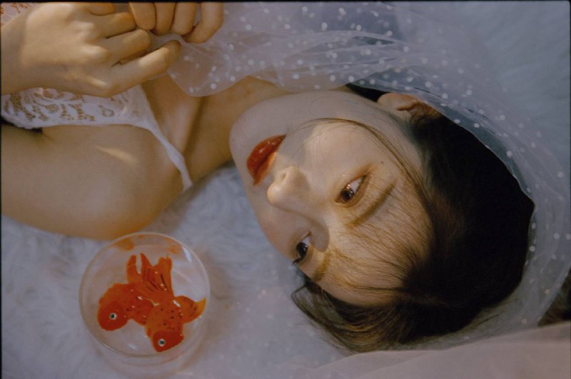 “我的鱼”“我的鱼”