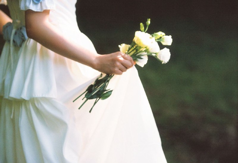 “日光倾城”“日光倾城”