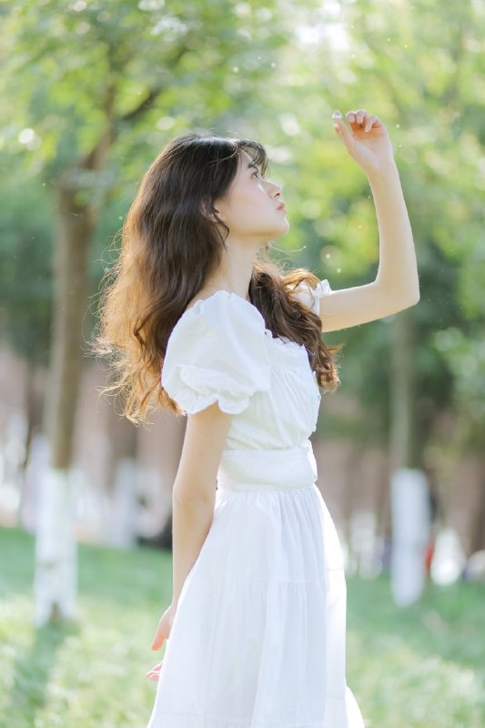 “日落”“日落”