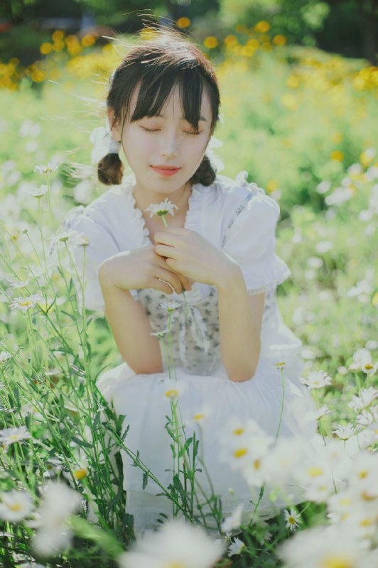 “初夏の小雏菊”