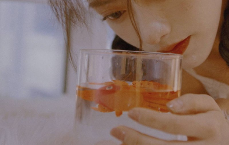 “我的鱼”“我的鱼”