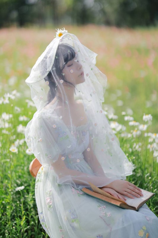 “雏菊”“雏菊”