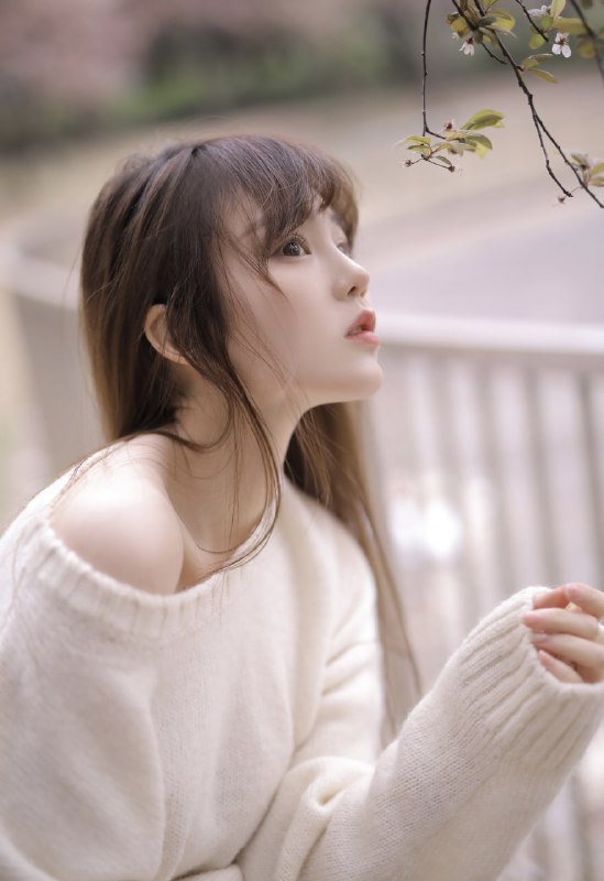 “和你赶一场早樱🌸”