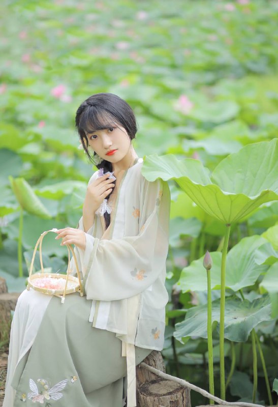 “温婉荷风入夏”