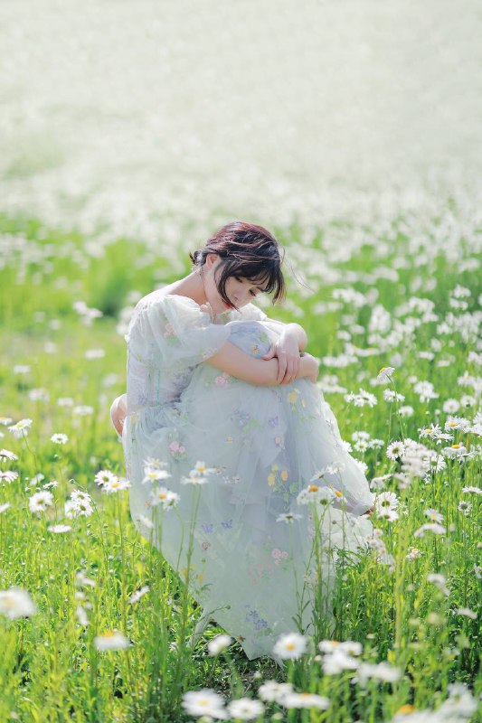 “雏菊”“雏菊”