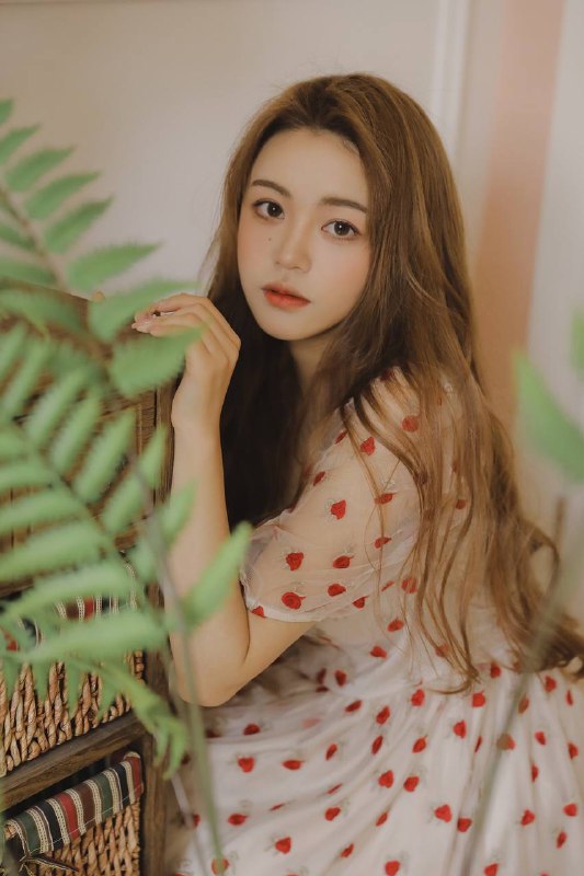 “你是檐上落下的星”“你是檐上落下的星”