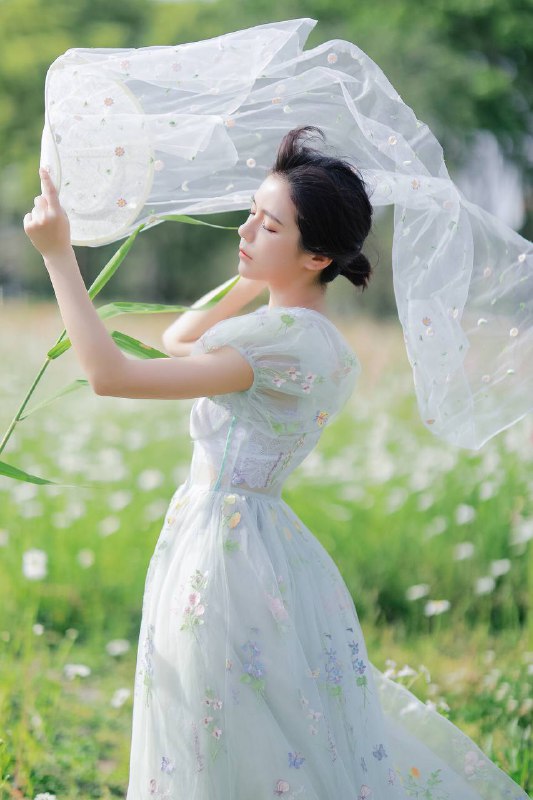 “雏菊”“雏菊”