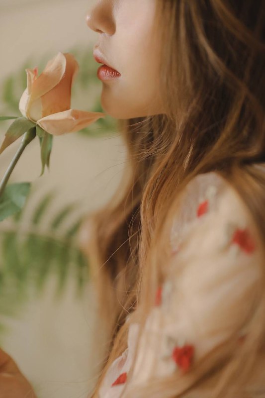 “你是檐上落下的星”“你是檐上落下的星”