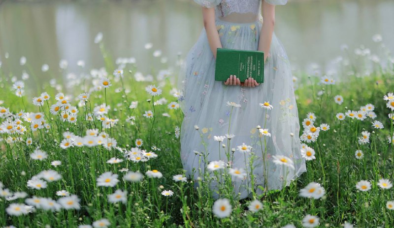 “雏菊”“雏菊”