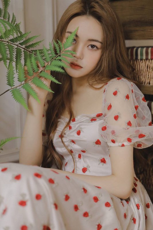 “你是檐上落下的星”“你是檐上落下的星”