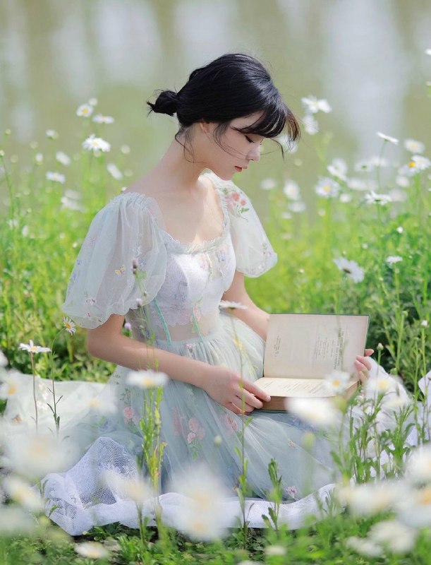 “雏菊”“雏菊”