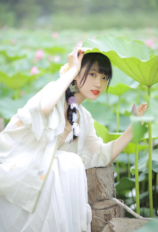 “温婉荷风入夏”