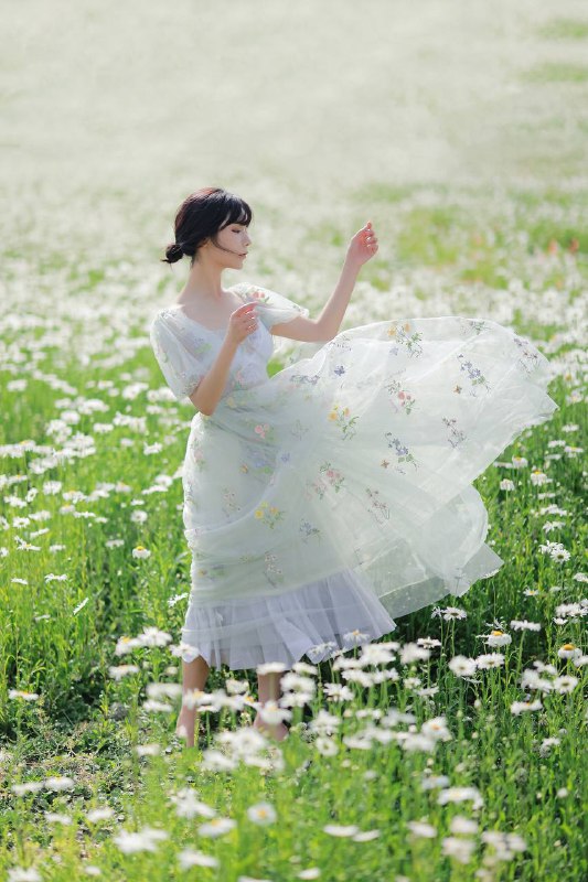 “雏菊”“雏菊”