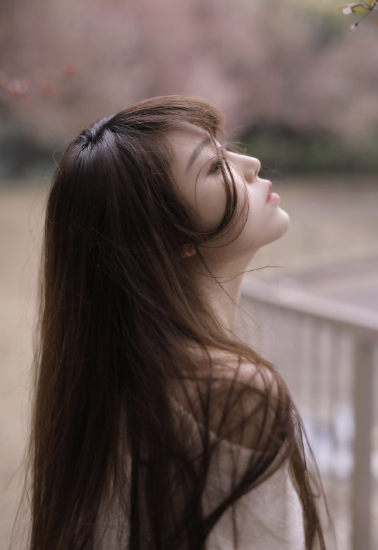 “和你赶一场早樱🌸”