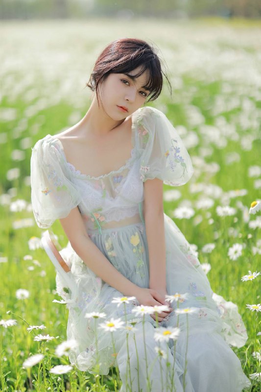 “雏菊”“雏菊”