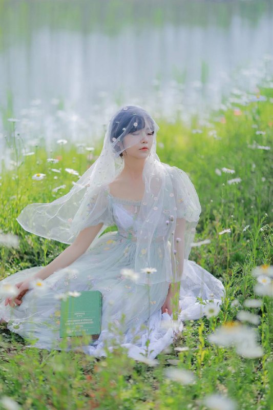 “雏菊”“雏菊”