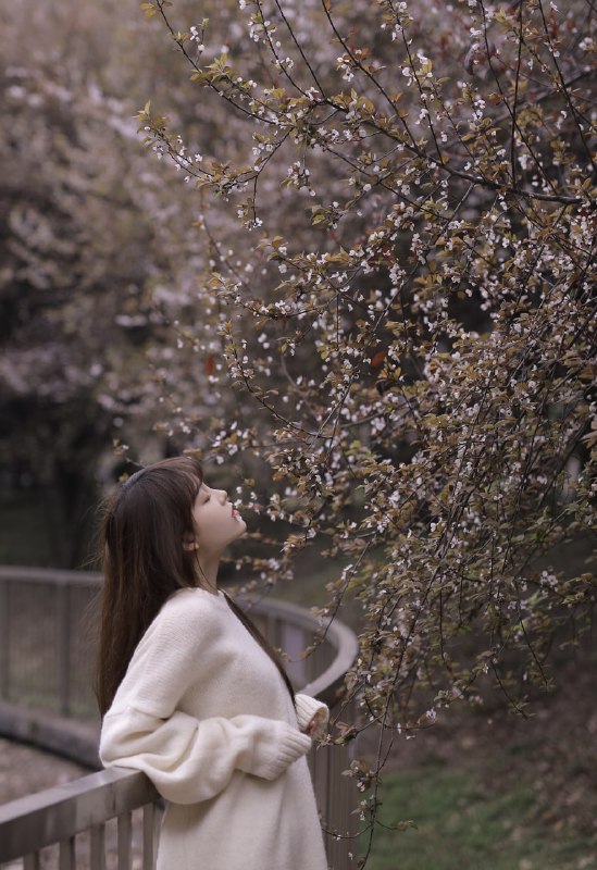 “和你赶一场早樱🌸”